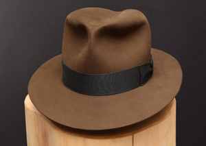 Read more about the article Kingdom Fedora