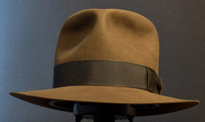 Read more about the article Kingdom Fedora