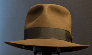 Read more about the article Kingdom Fedora