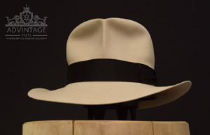 Read more about the article Bone SoC Fedora