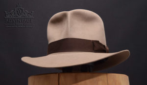 Mehr über den Artikel erfahren Custom Hero SoC Fedora in natur