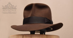 Read more about the article Hero SoC Fedora in True-Sable