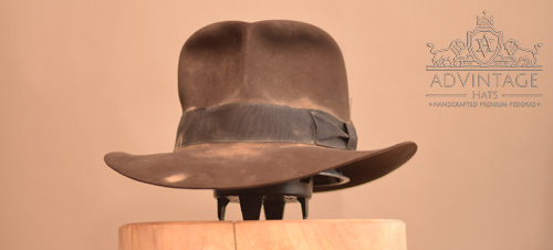 Read more about the article Hero SoC Fedora in True-Sable