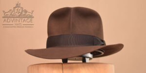 Read more about the article Decentr SoC Fedora (MasterPiece) in True-Sable