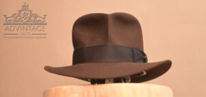 Read more about the article Hero SoC Fedora Hut in True-Sable