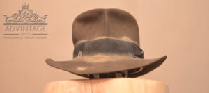 Read more about the article Hero SoC Fedora hat in Sable